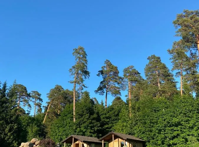 Kivimaee Turismitalu ホステル Taagepera